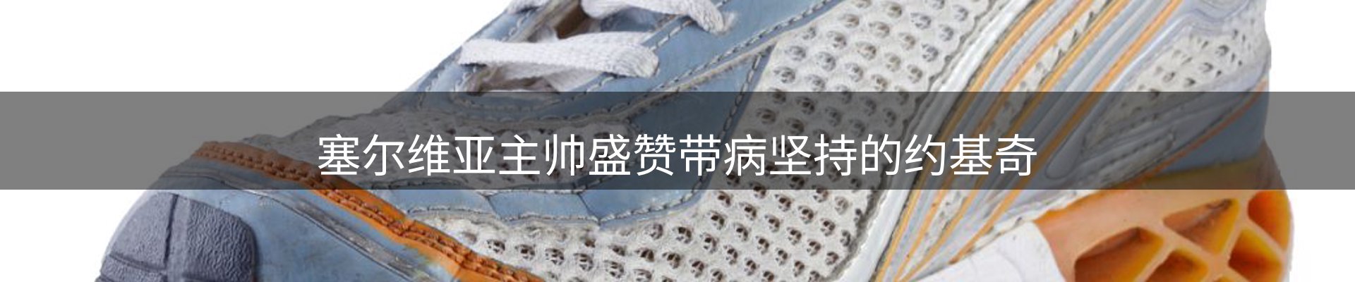 焦点解读