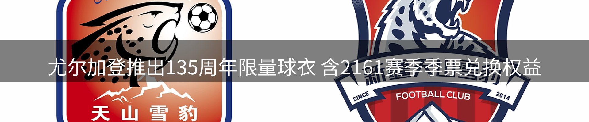 综合资讯