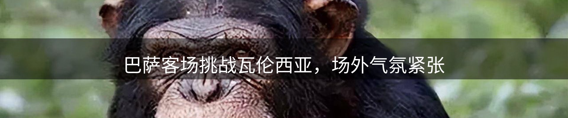焦点解读