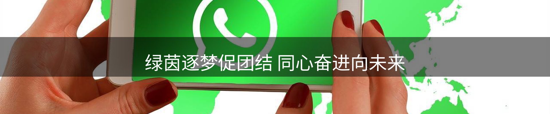 焦点解读